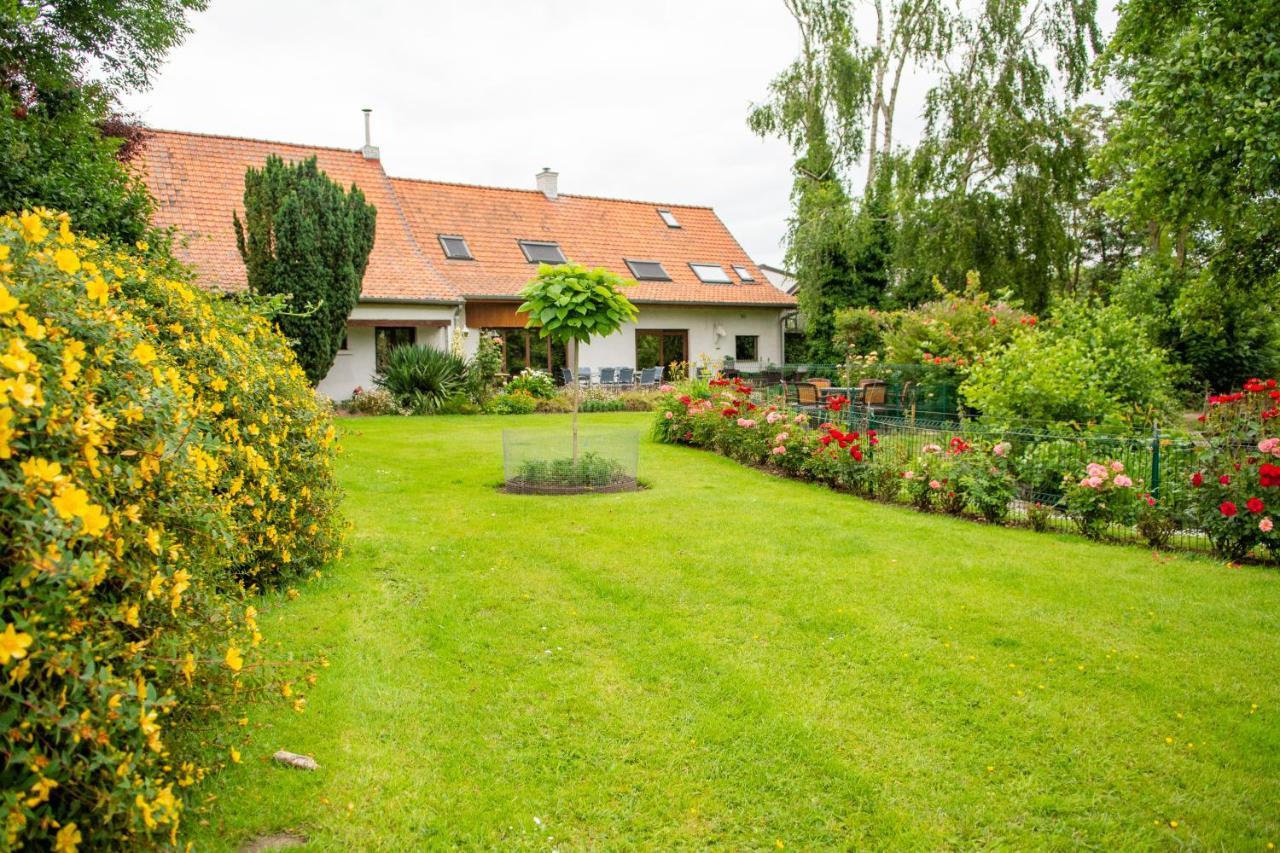 Poezelhoekvallei Appartement 佐内贝克 外观 照片
